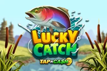bij baji Live Casino